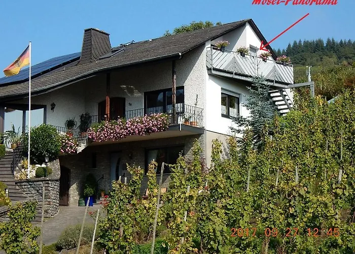 Mosel-Panorama