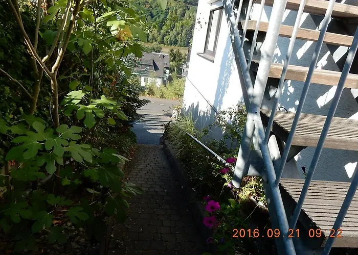 Mosel-Panorama