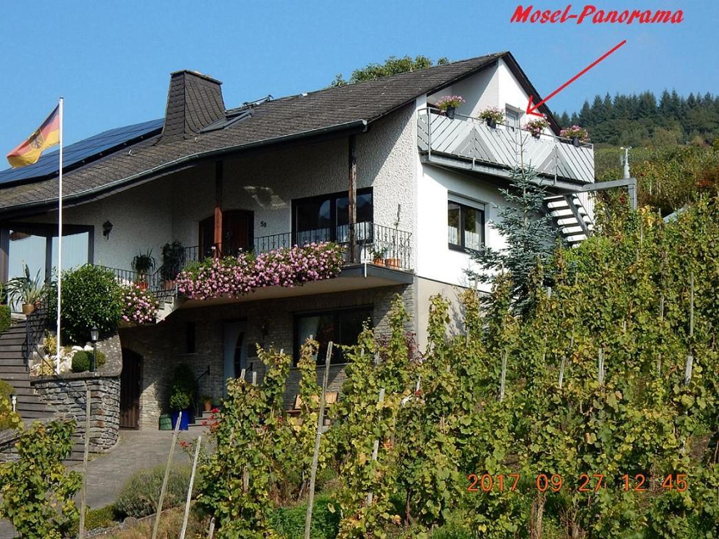 Mosel-panorama