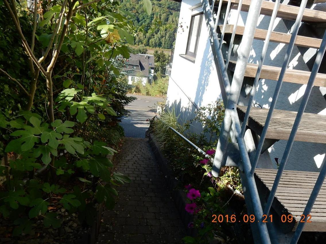 Apartment Mosel-panorama